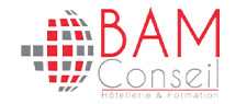 bamconseil.net